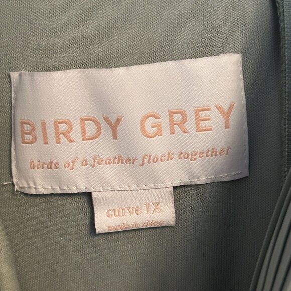 NWT Birdy Grey 1X Curve Elsye Bridesmaid Dress Mesh Sage Green Gown Wedding - Picture 9 of 13